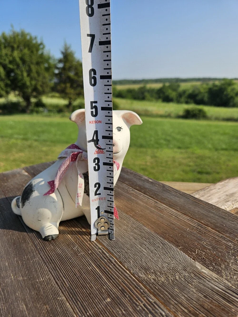 COTTAGECORE Vintage Spotted White Ceramic Pig Statue Farm Animal Decor Plaid